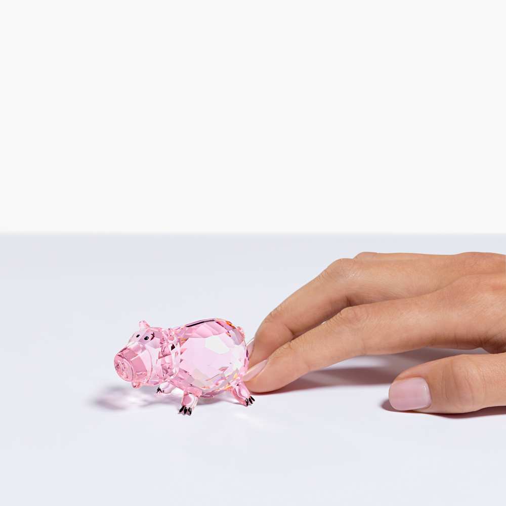 swarovski hamm