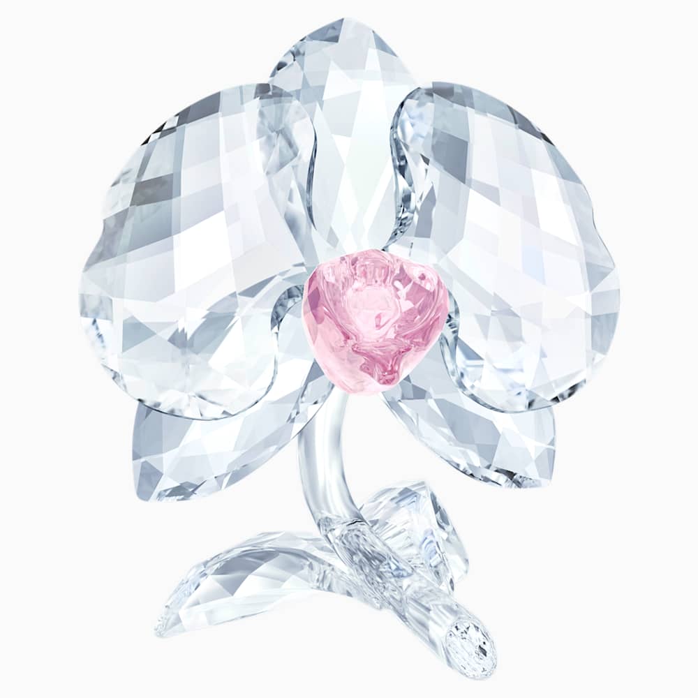 Orchidee Swarovski Com Orchidee Swarovski Com