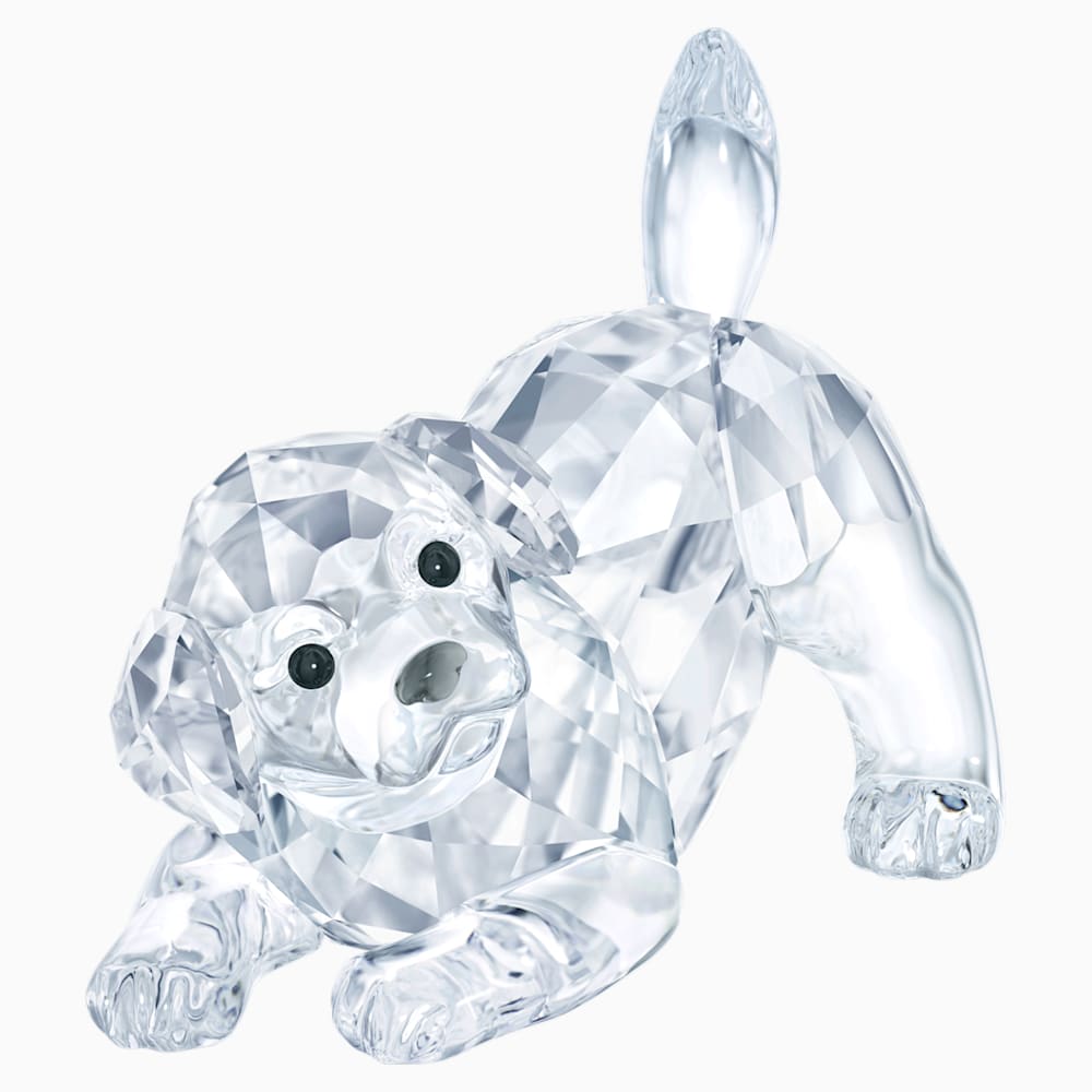 Labrador Yavru Kopek Oyun Oynayan Swarovski Com