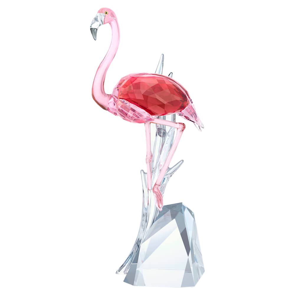 vijand Veroveren Oude tijden Flamingo | Swarovski.com