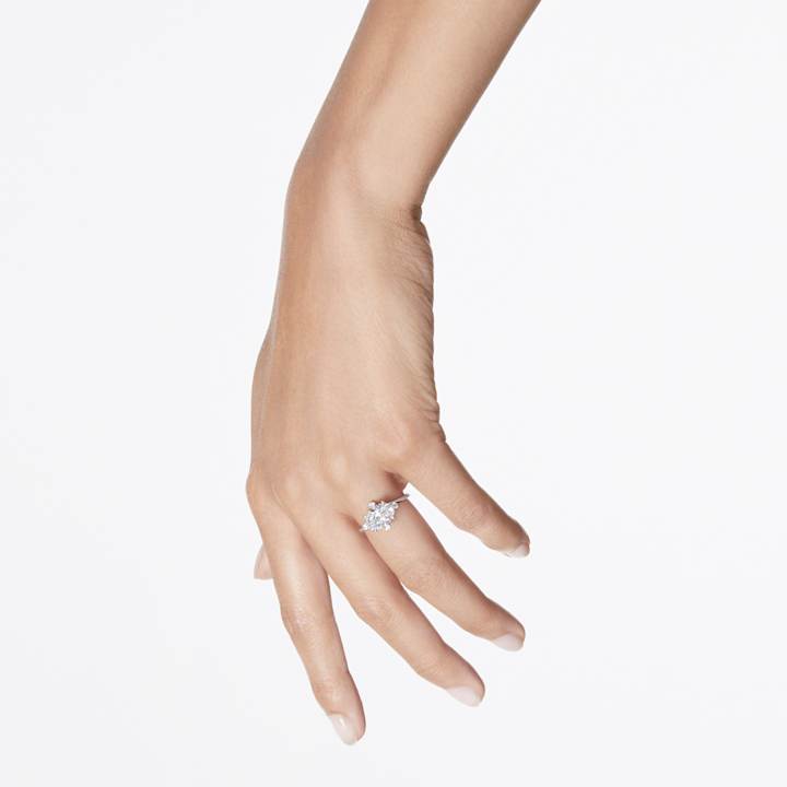 Model Shot Model Shot