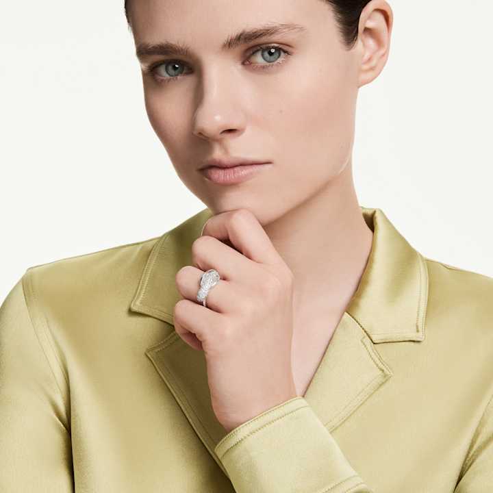 Model Shot
