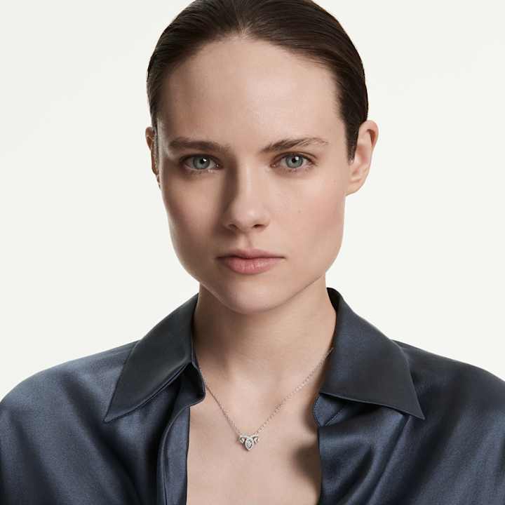 Model Shot