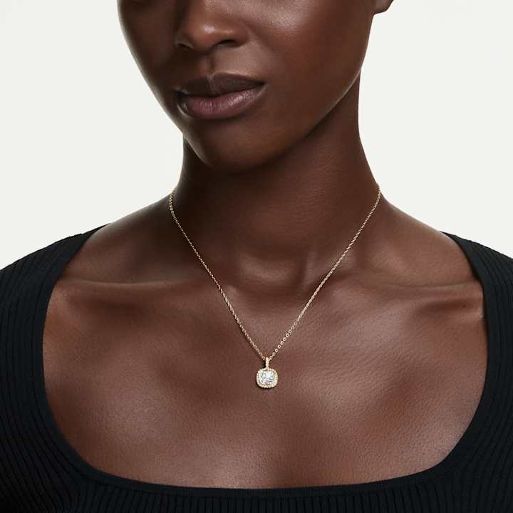 Model Shot