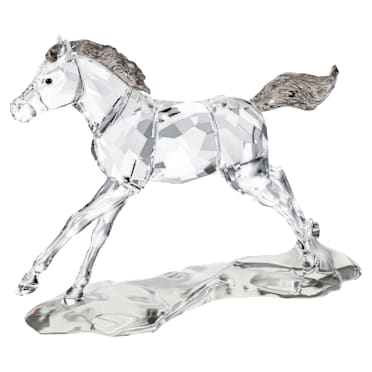 SCS Foal - Swarovski, 5004729