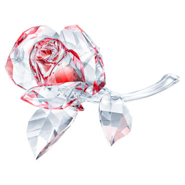 Rosa a florescer, vermelha - Swarovski, 5428561