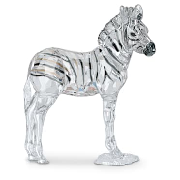 Elegance of Africa－SCS斑馬寶寶Zuri - Swarovski, 5557906