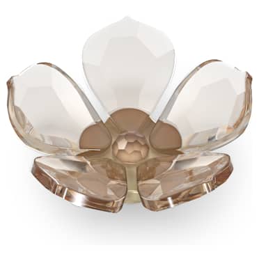 Garden Tales Magnolie Magnet, Klein - Swarovski, 5580029