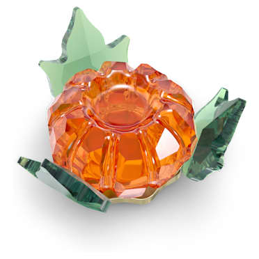 Garden Tales Pumpkin Magnet, Large - Swarovski, 5594492