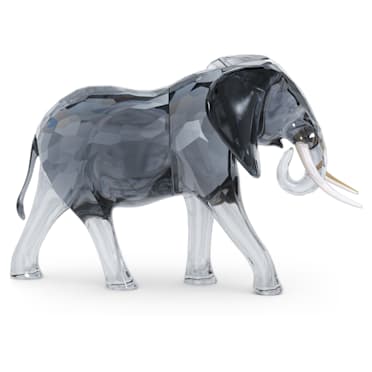 Elegance of Africa Toro Elefante - Swarovski, 5611302