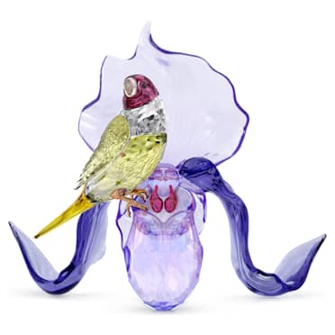 Idyllia Diamante di Gould e Orchidea - Swarovski, 5675211
