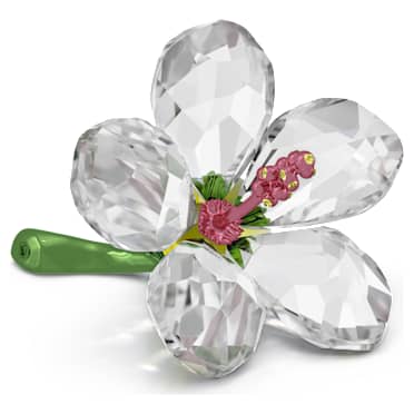 Florere Ibisco, Piccolo - Swarovski, 5690534