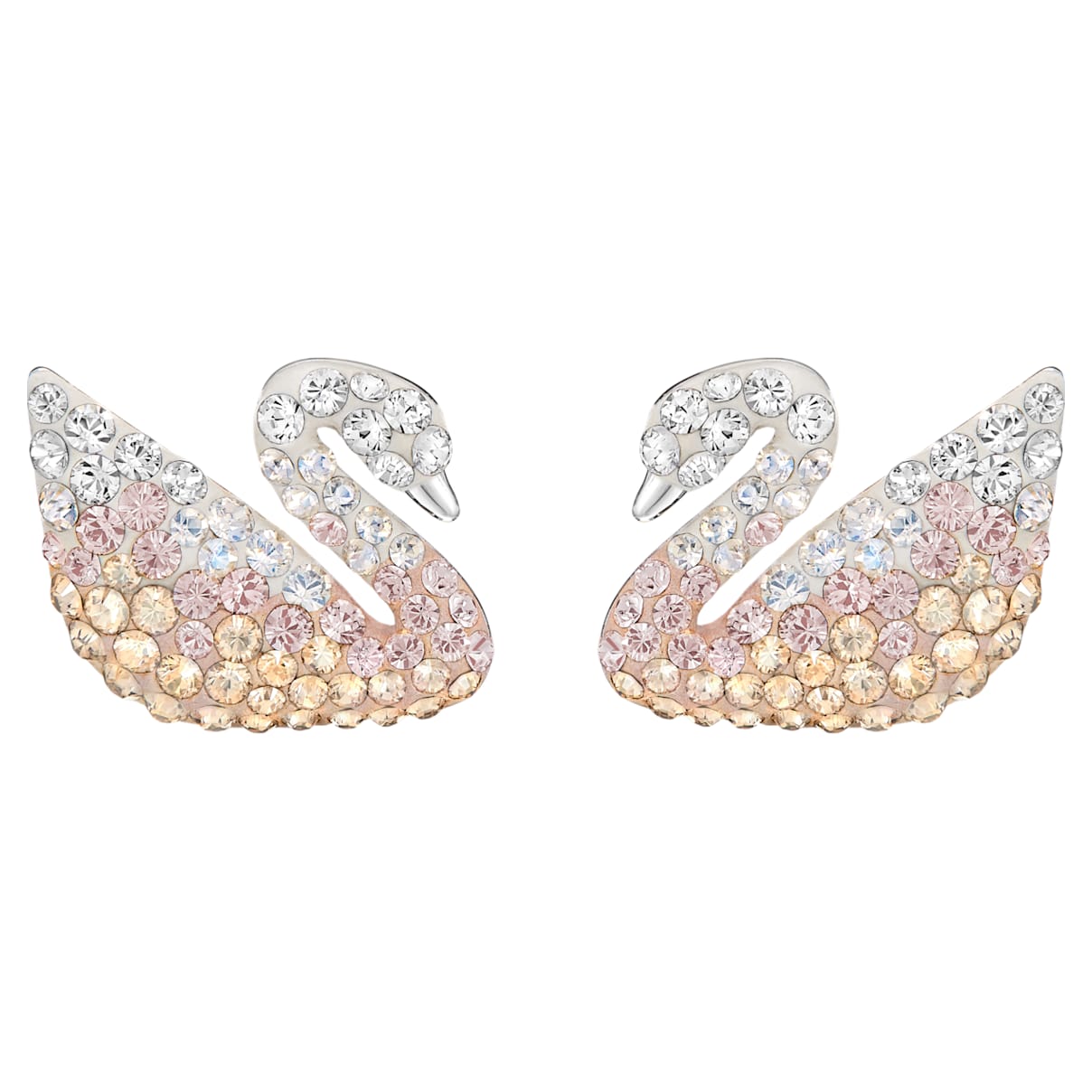 Swarovski Iconic Swan Pierced Earrings, Multi-colored, Rhodium plated