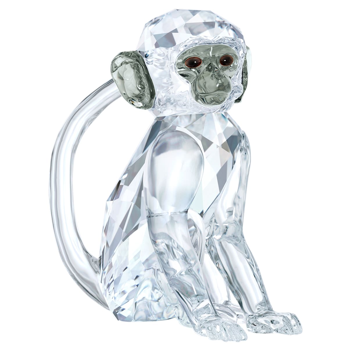 

SCS Vervet Monkey (Event Piece 2018)