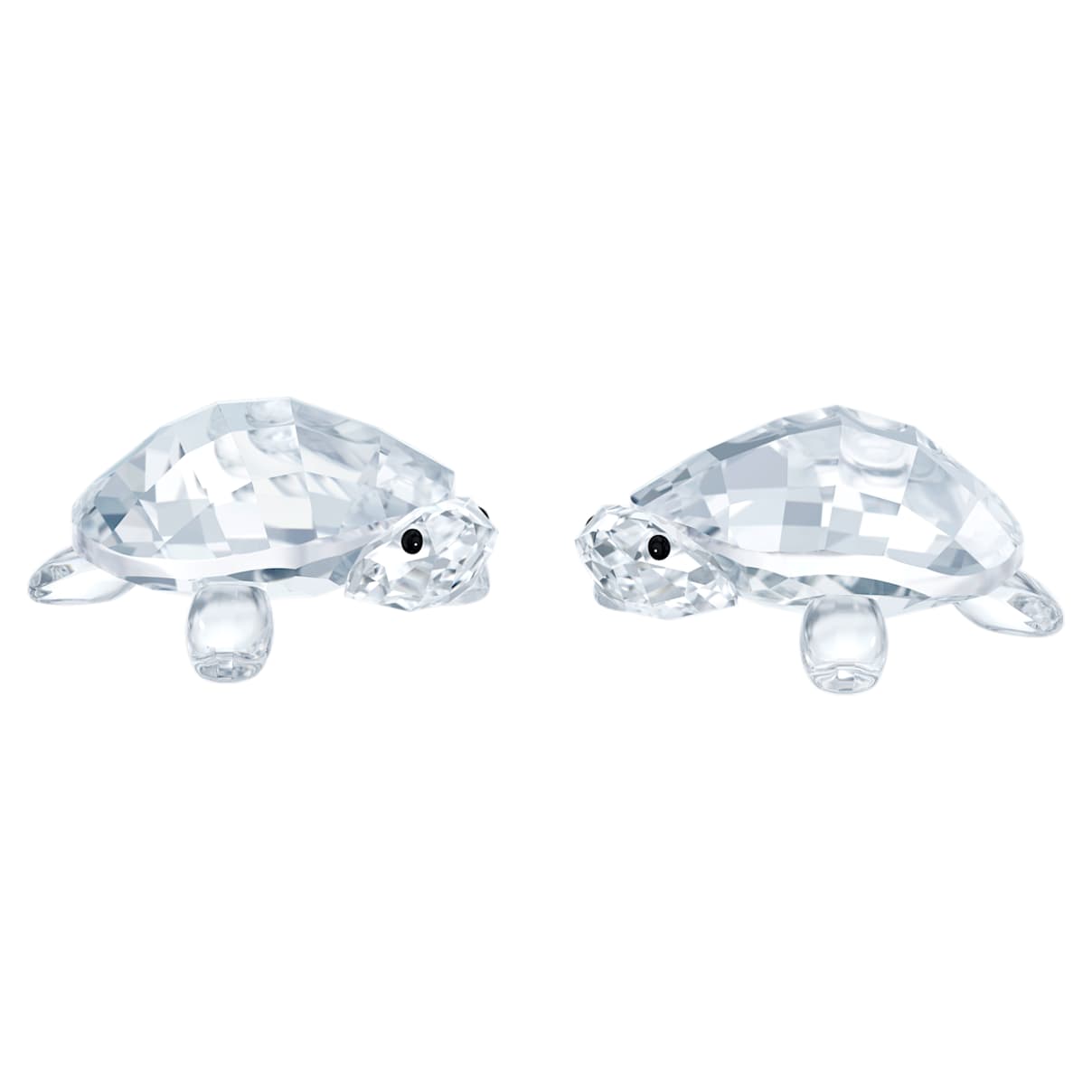 

Swarovski Tortugas bebé