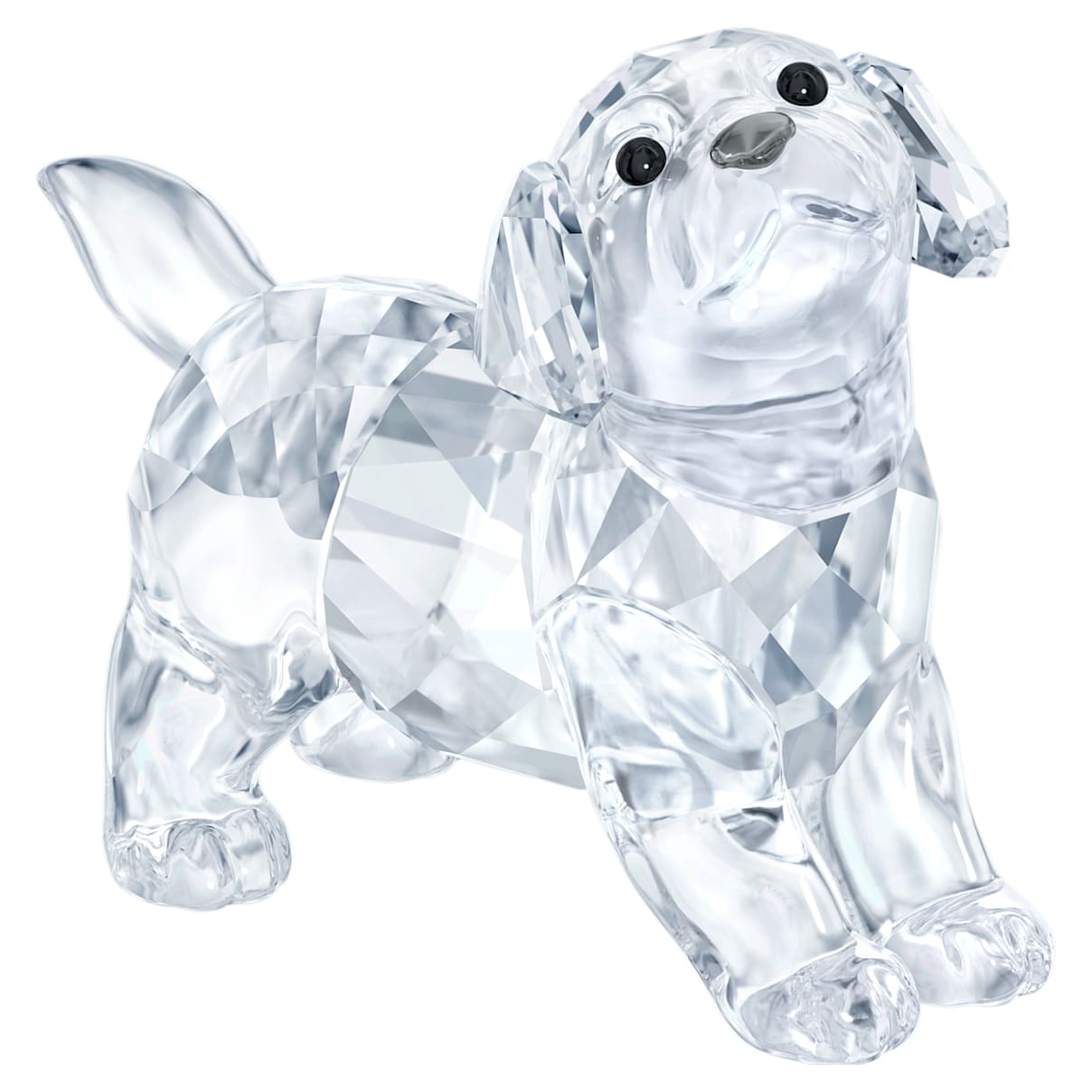 Click to view product details and reviews for Labrador Puppy Standing.