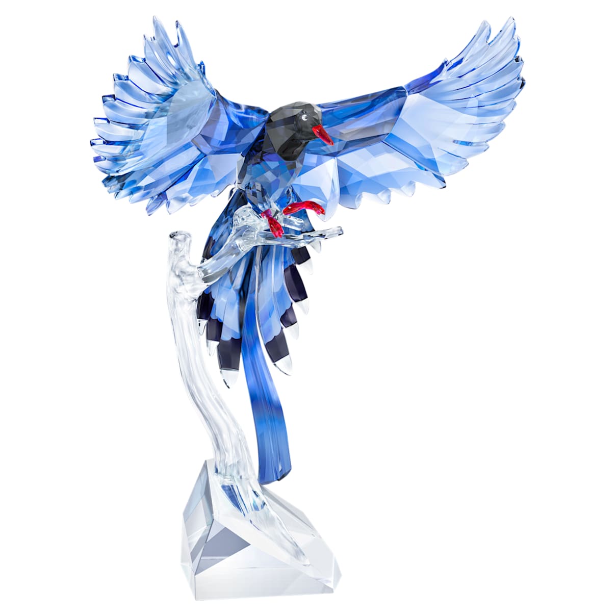 Click to view product details and reviews for Taiwan Blue Magpie.