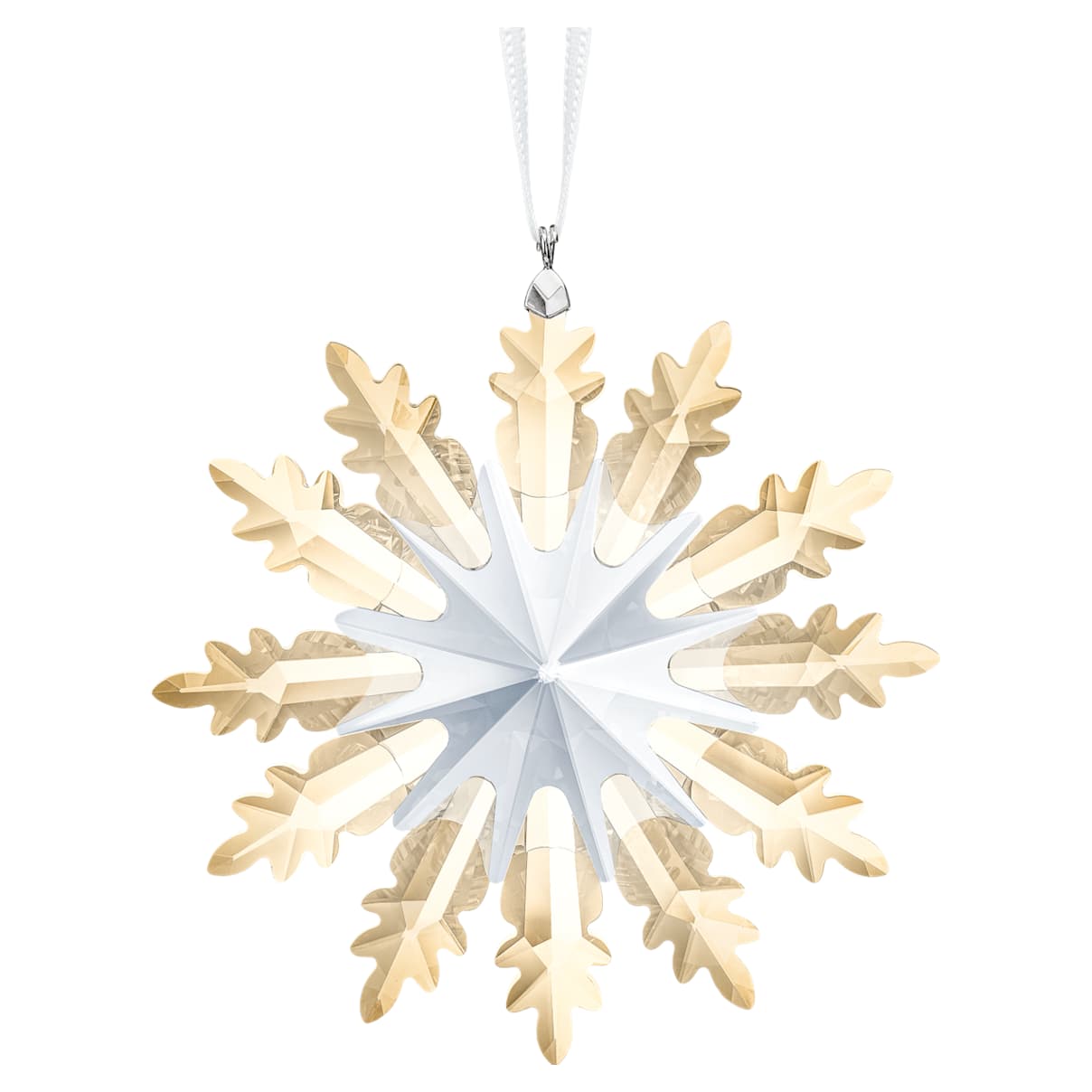 

Decorazione Stella d’Inverno