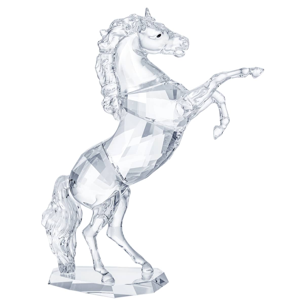 

Stallion