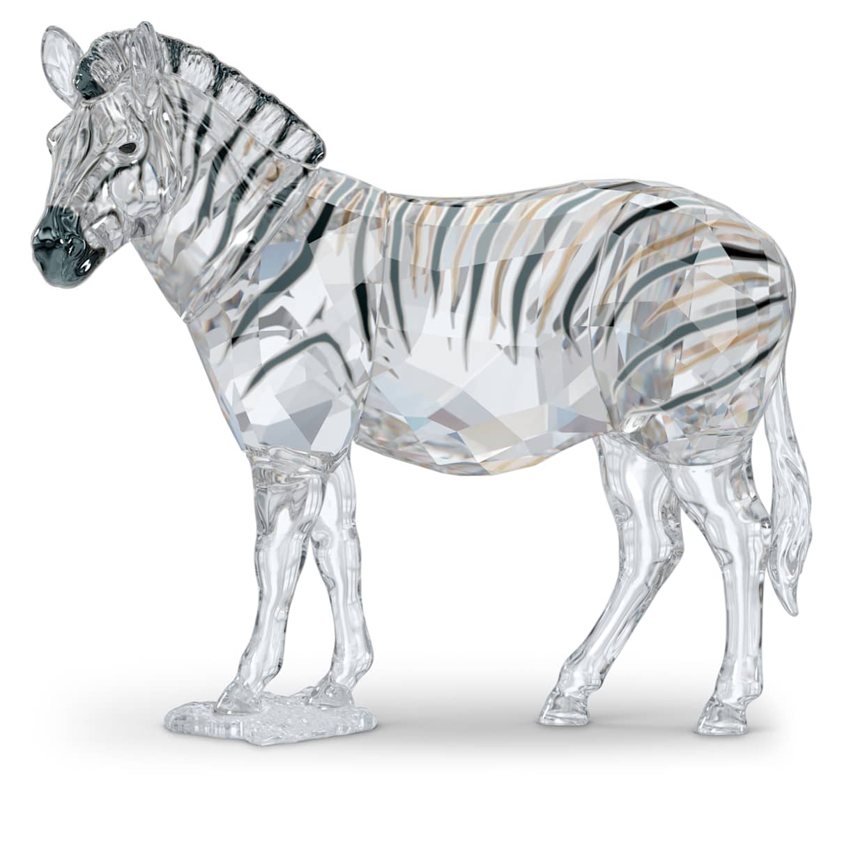 

Elegance of Africa SCS Annual Edition 2021 Zebra Amai