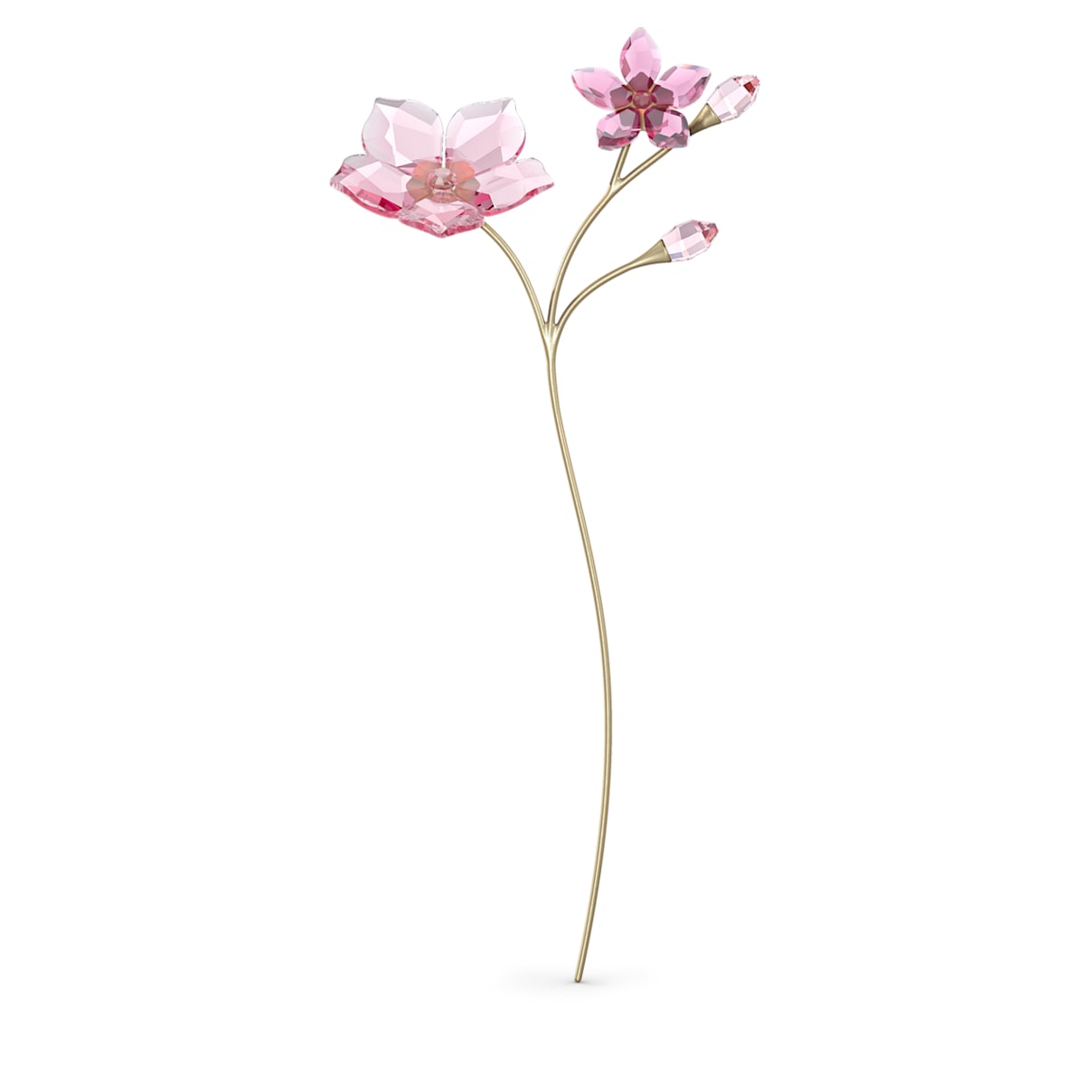 

Garden Tales桜