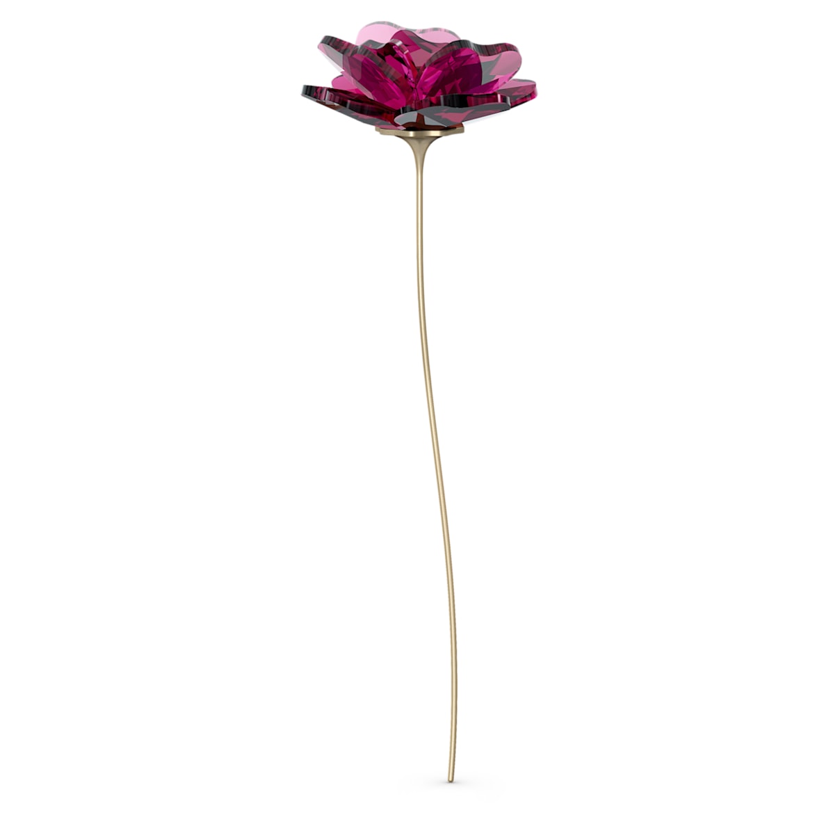 

Garden Tales Rose