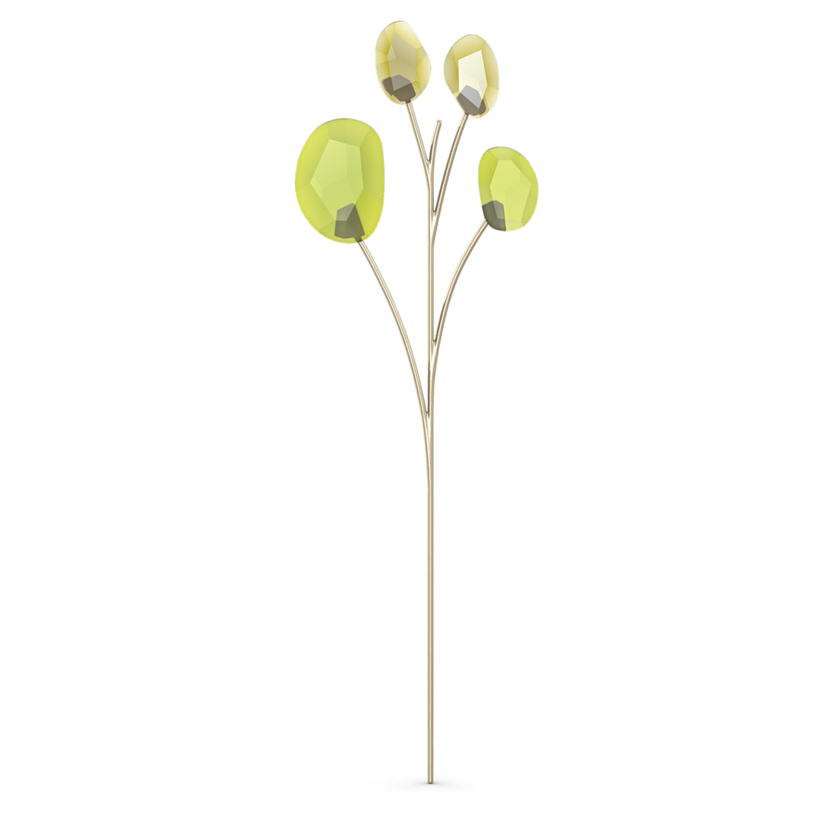 

Garden Tales Eukalyptus