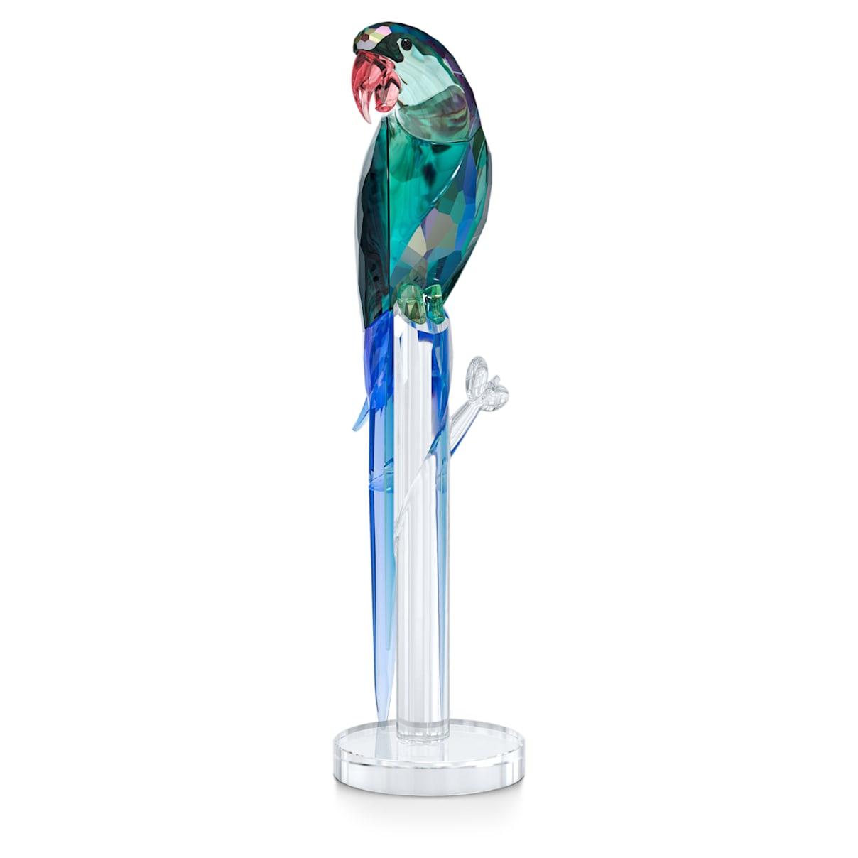 

Jungle Beats Green Macaw Banjo