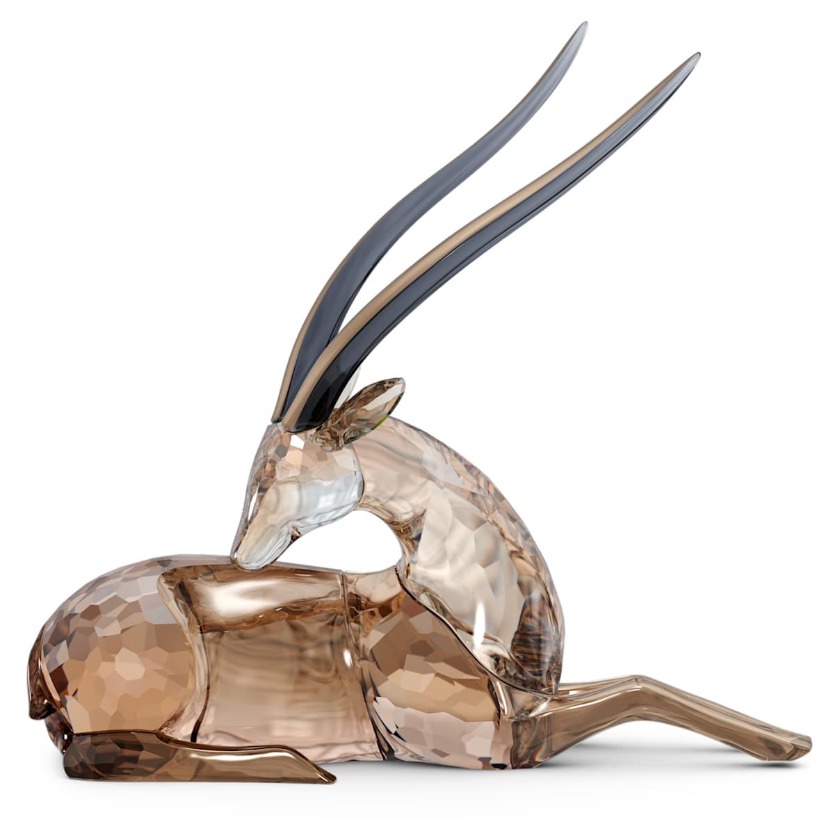 

African Sunset Gazelle Jabali
