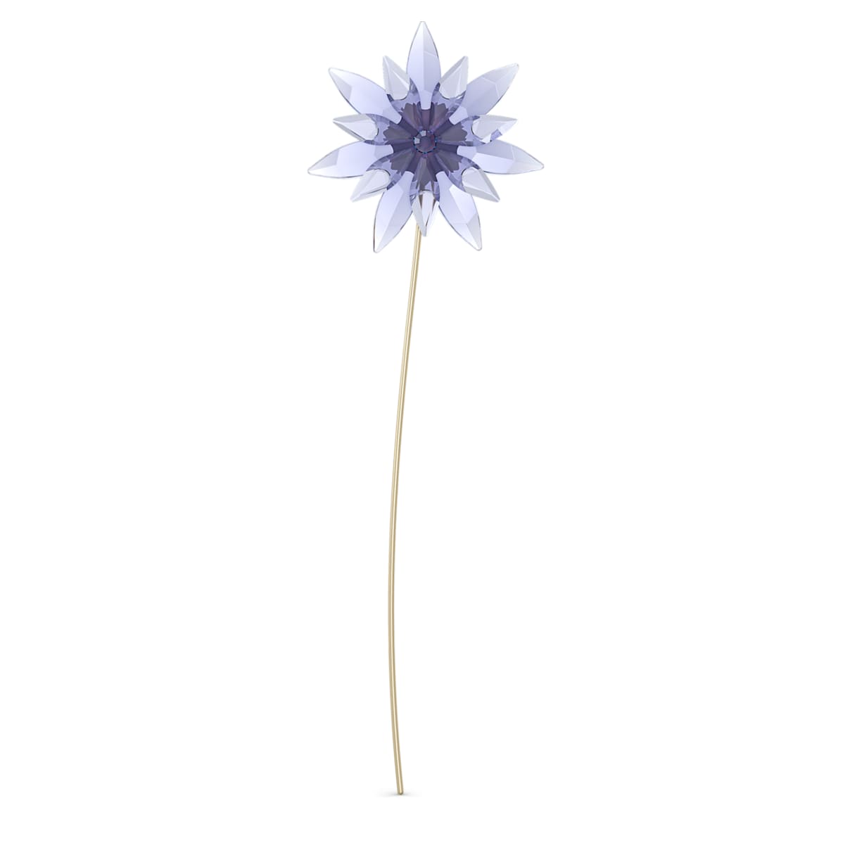 

Garden Tales Nigella Online Edition