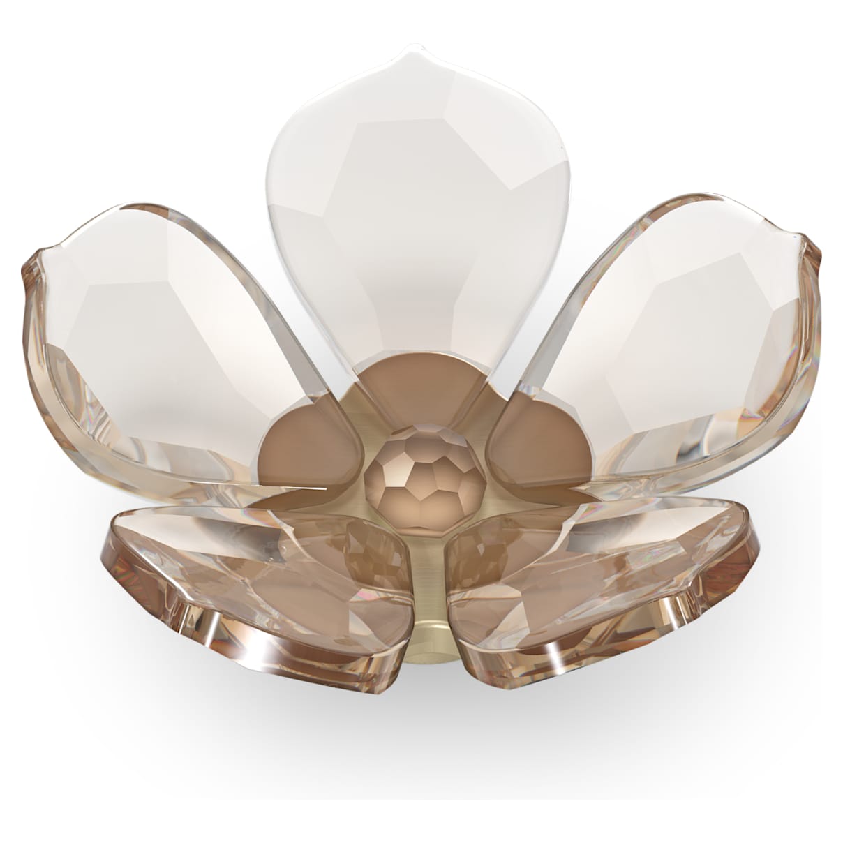 

Swarovski Garden Tales Magnolia Magnet, Small