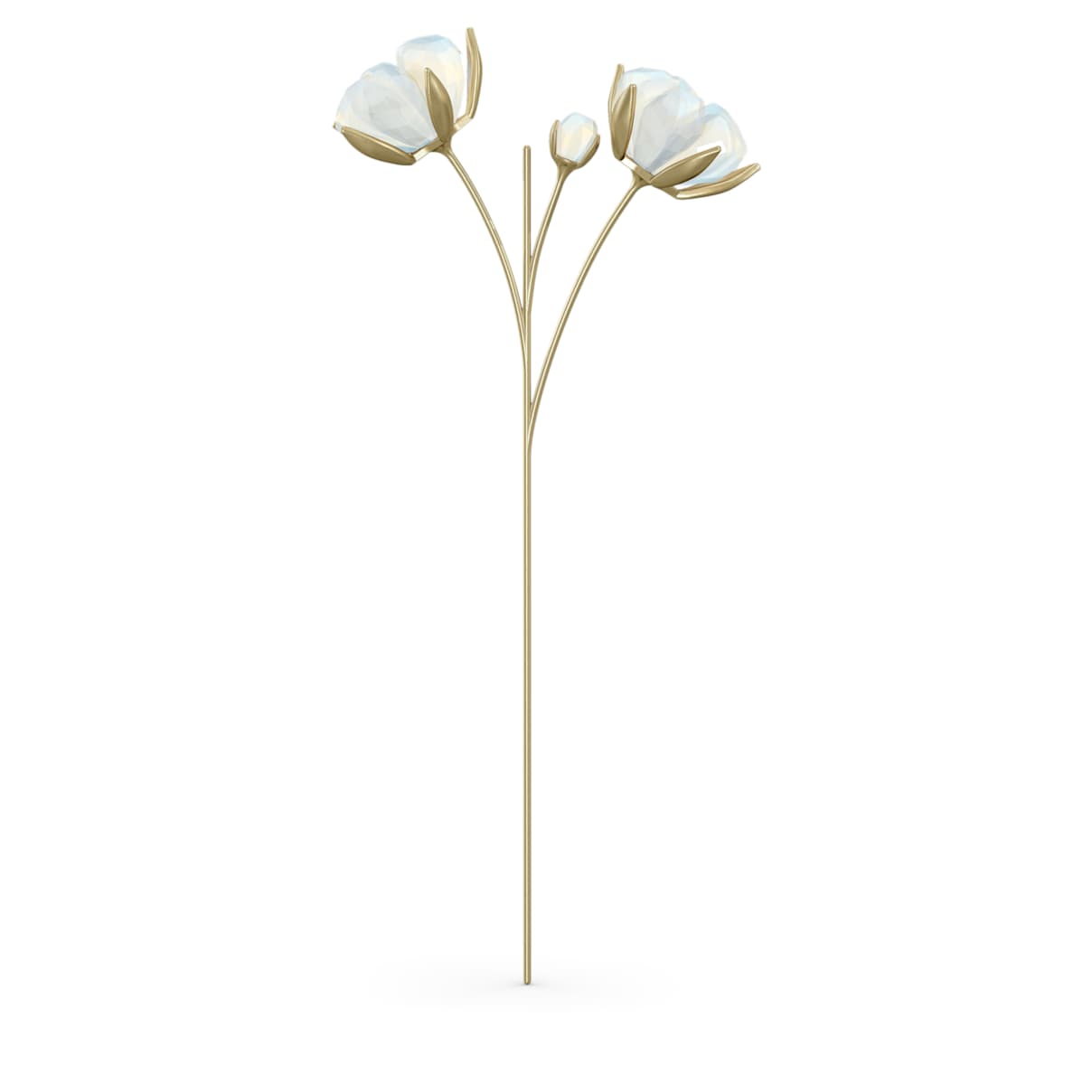 

Garden Tales Cotton