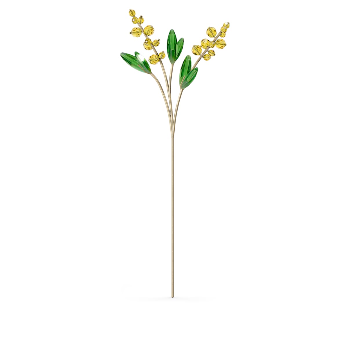 

Garden Tales 미모사