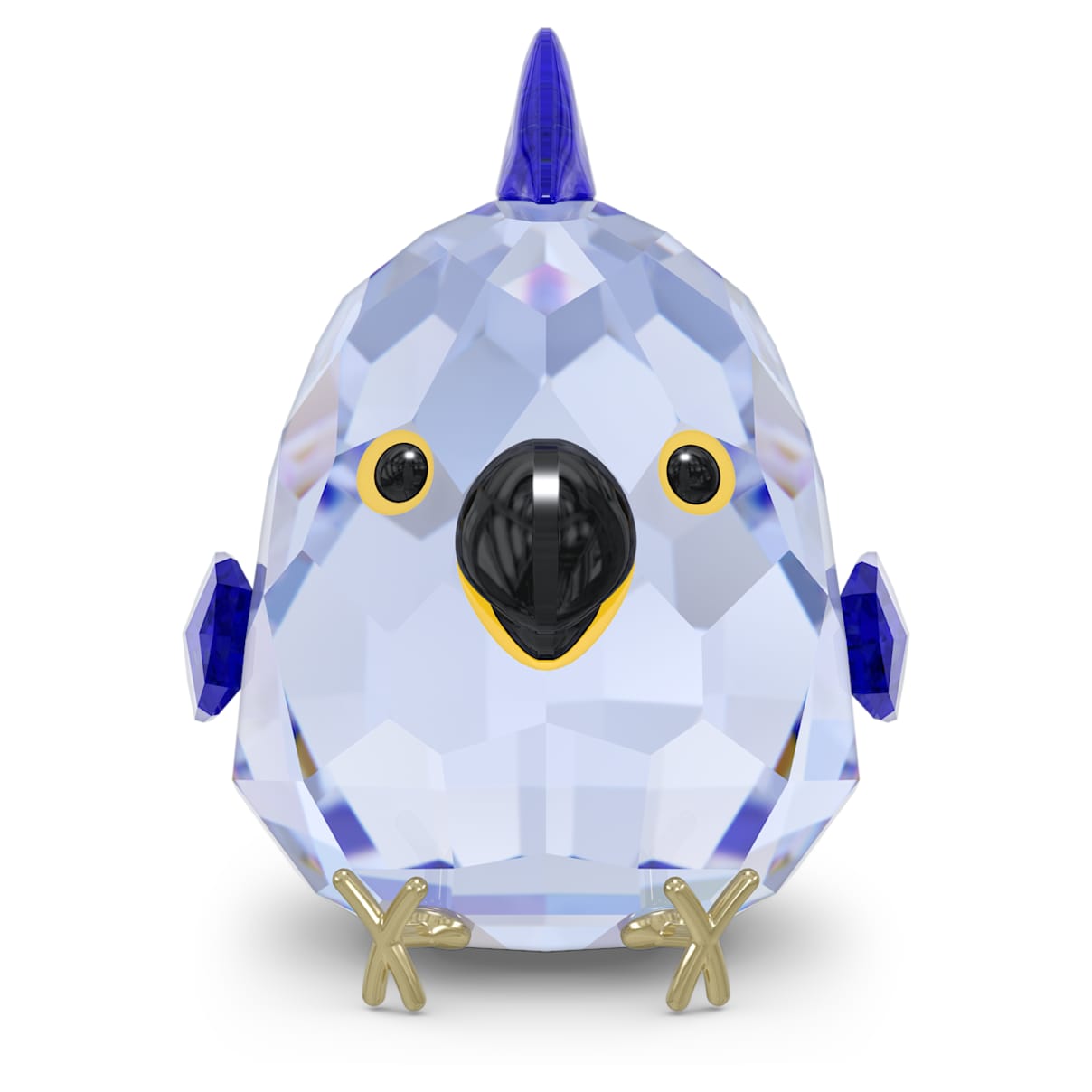 

All you Need are Birdsコンゴウインコ ブルー