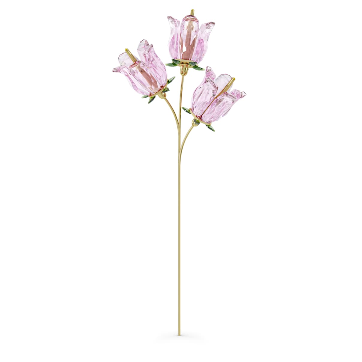 

Garden Tales Bellflower