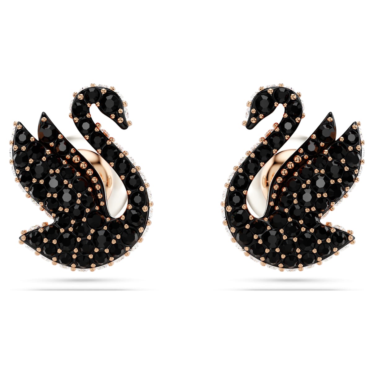 Shop Swarovski Swan Ohrstecker In Black