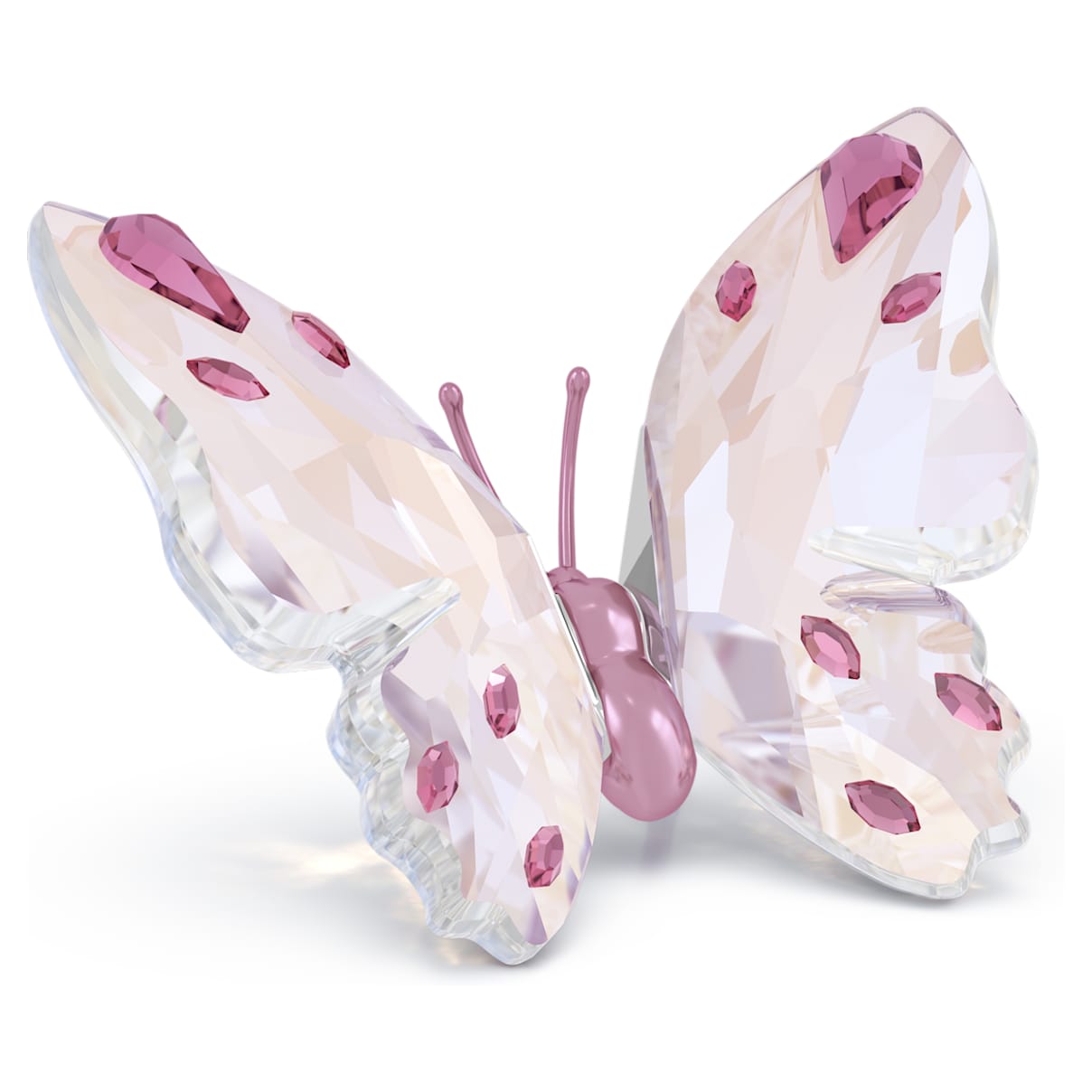 

Idyllia Butterfly, Small