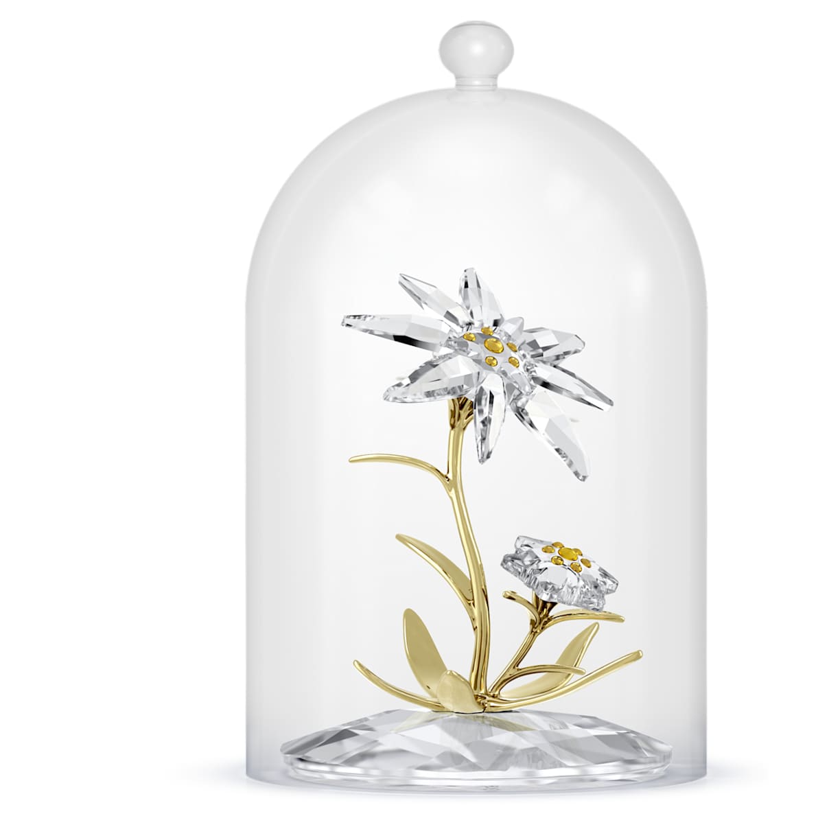 

Florere 130th Anniversary Bell Jar