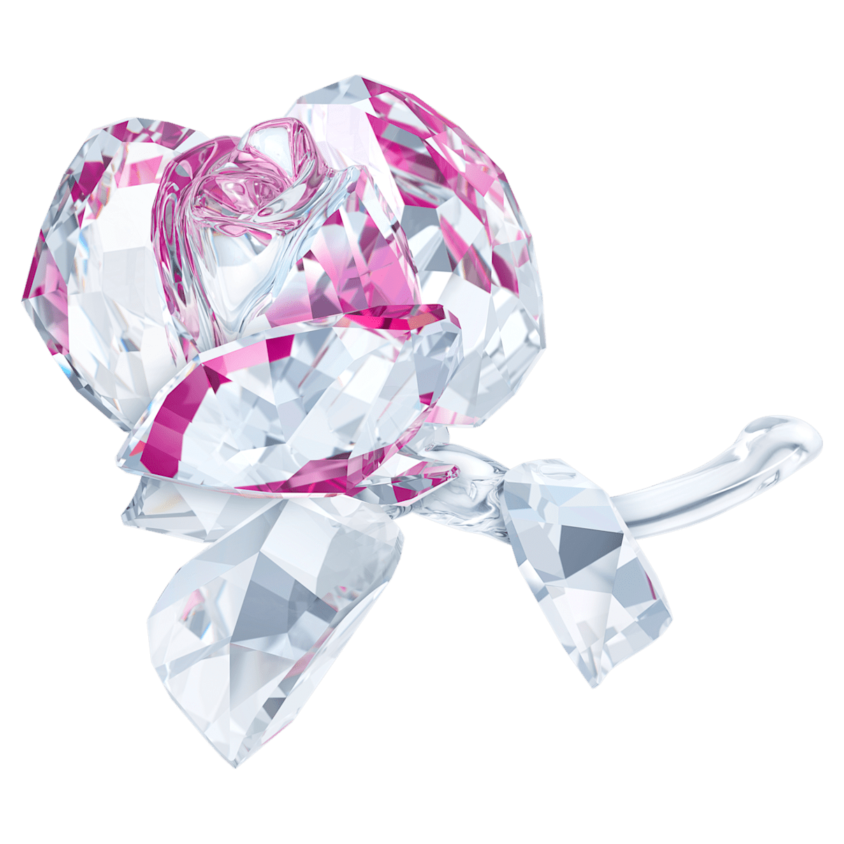 Swarovski 블루밍 로즈