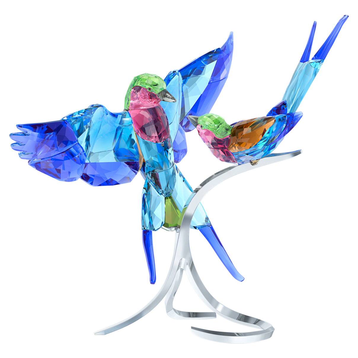 

Swarovski 紫胸三宝鸟