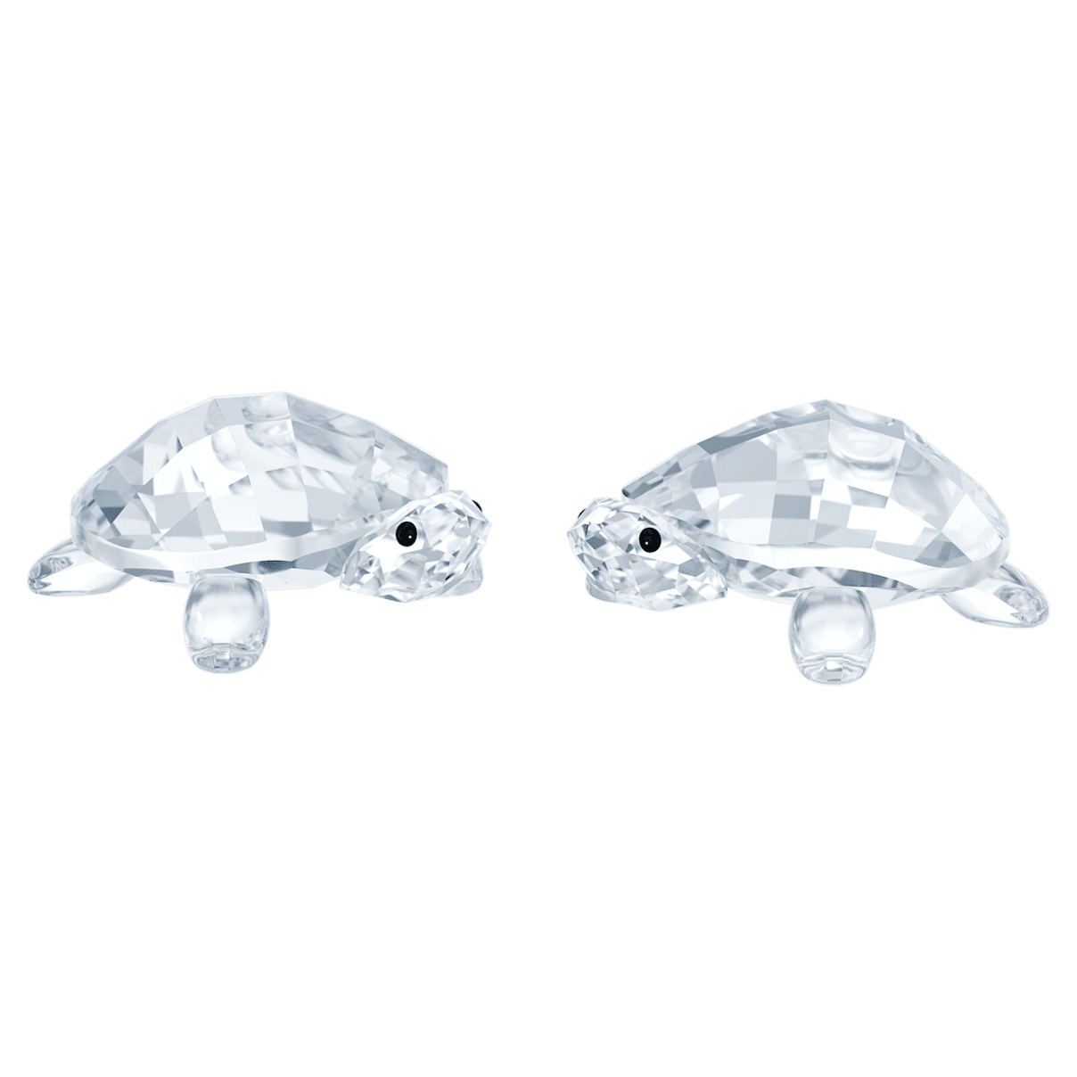 

Swarovski Baby Tortoises