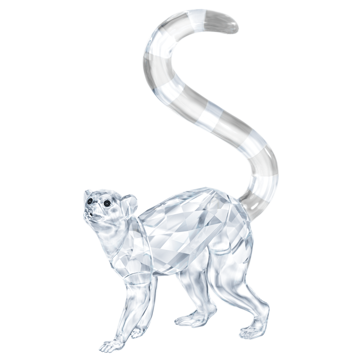 

Swarovski キツネザル