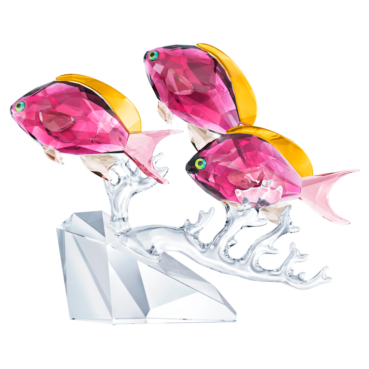 

Swarovski Anthias Fish Trio