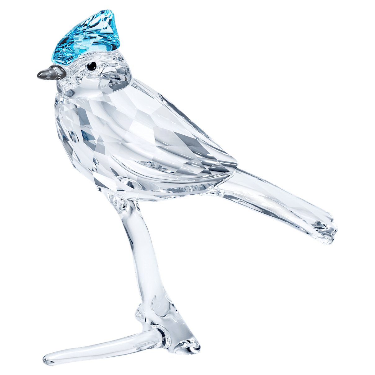 

Swarovski Blue Jay