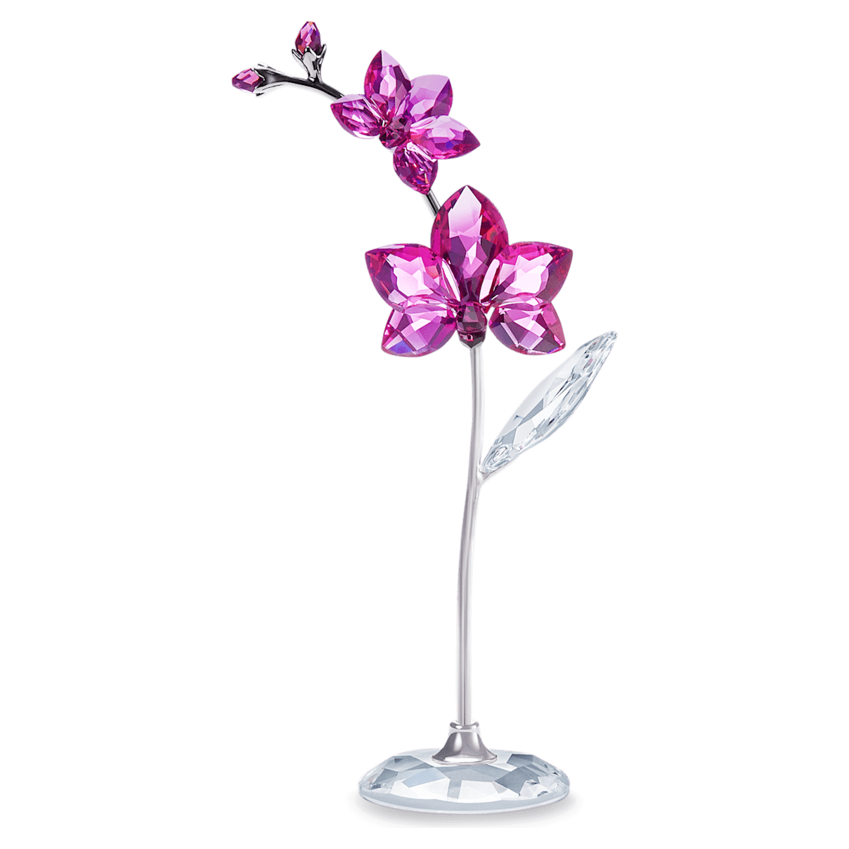 Swarovski Kwiatowe sny – Orchidea, duża