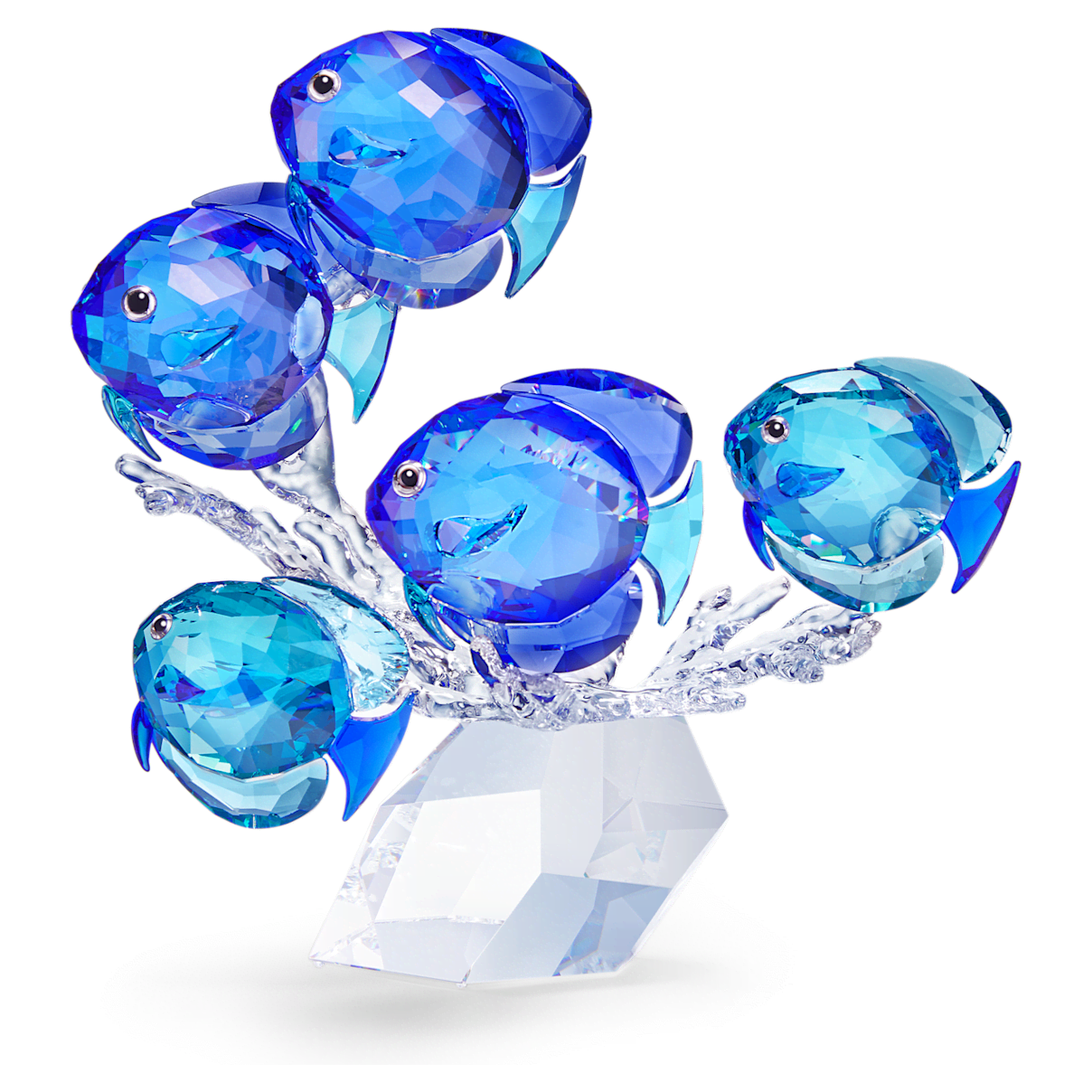 

Swarovski 鱼群