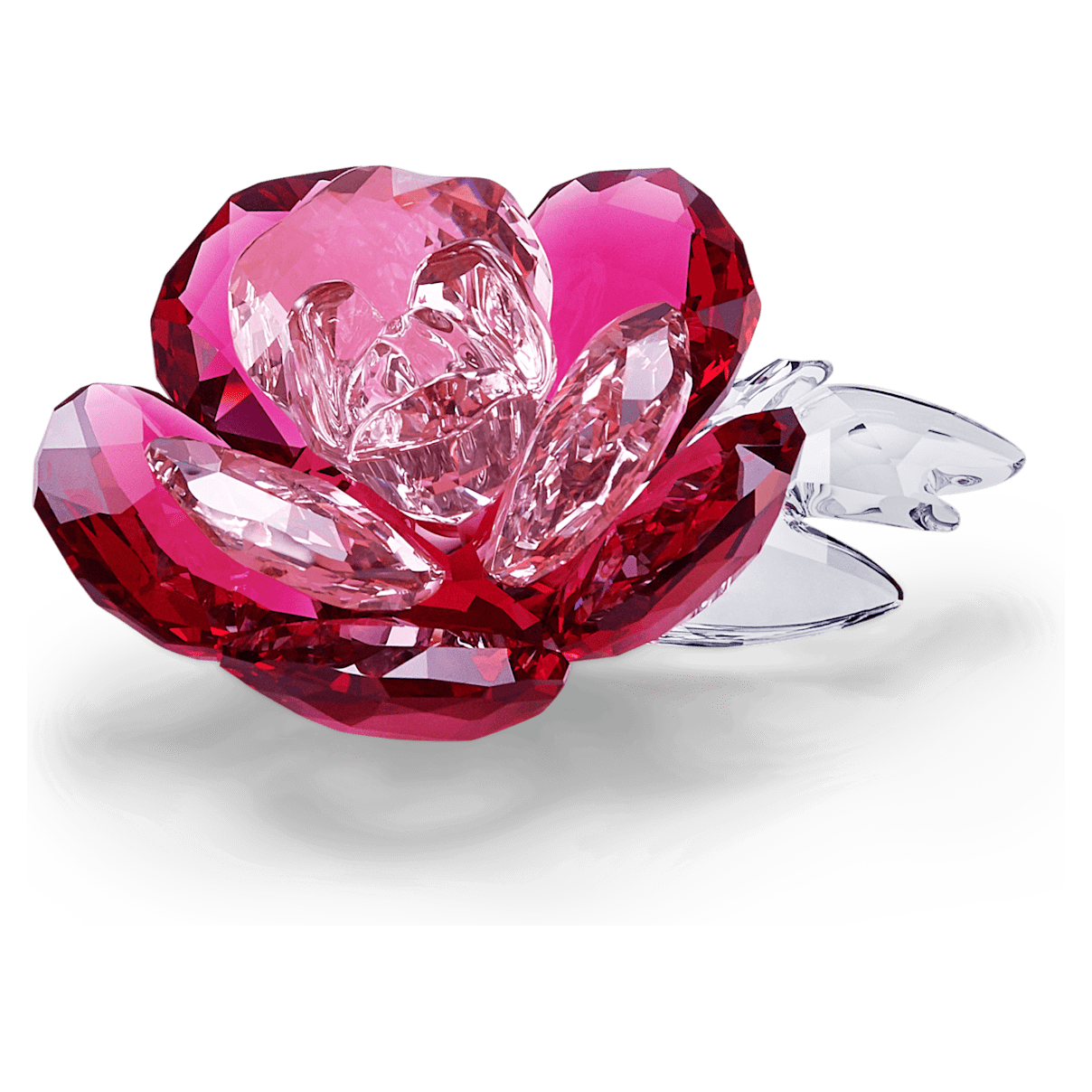 

Swarovski Peony