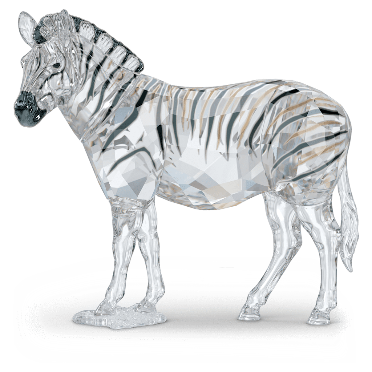 

Swarovski Elegance of Africa SCS Annual Edition 2021 Zebra Amai