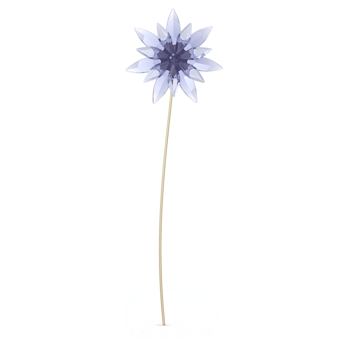 

Swarovski Garden Tales－黑种草, 网上限定产品