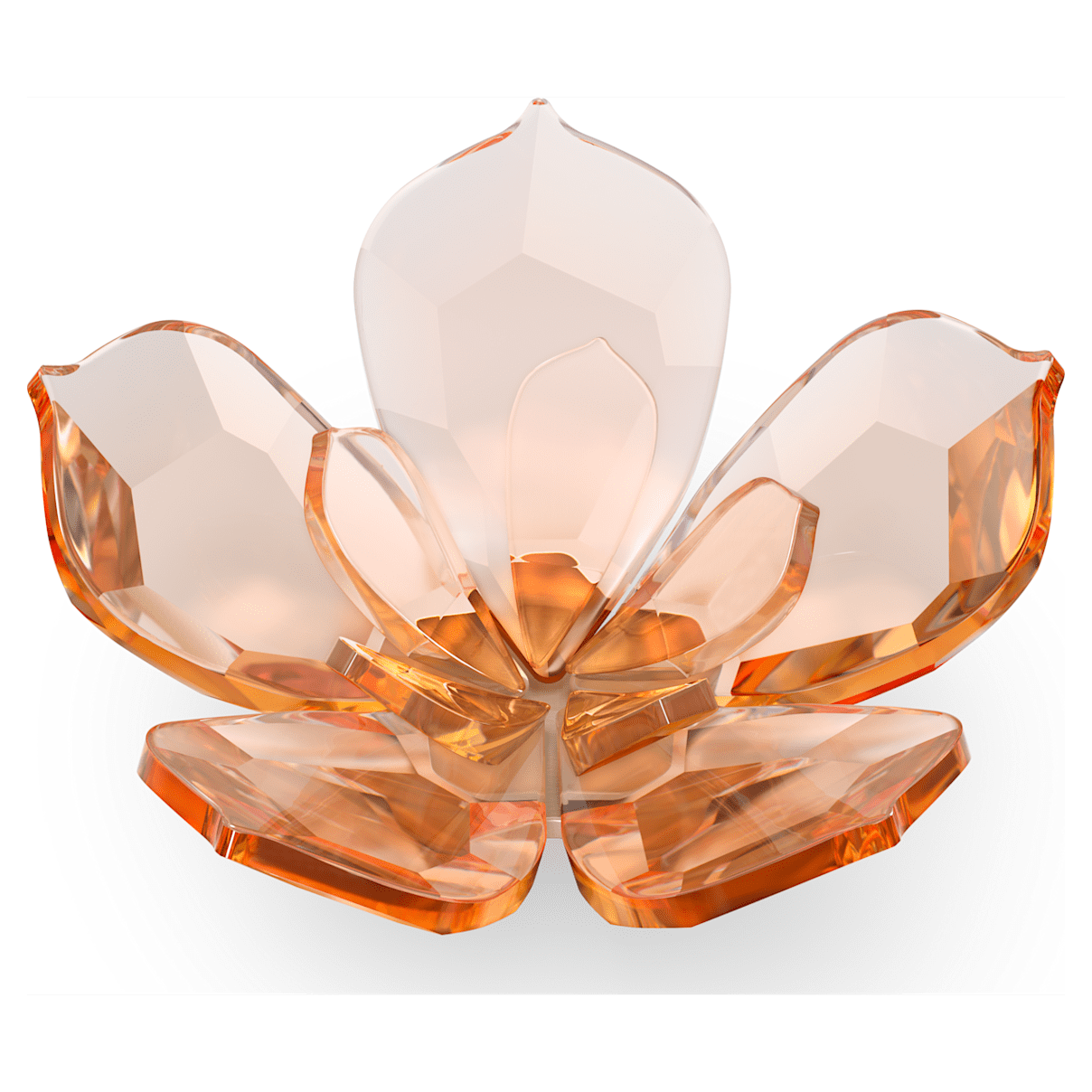 

Swarovski Garden Tales Magnolia Magnet, Large